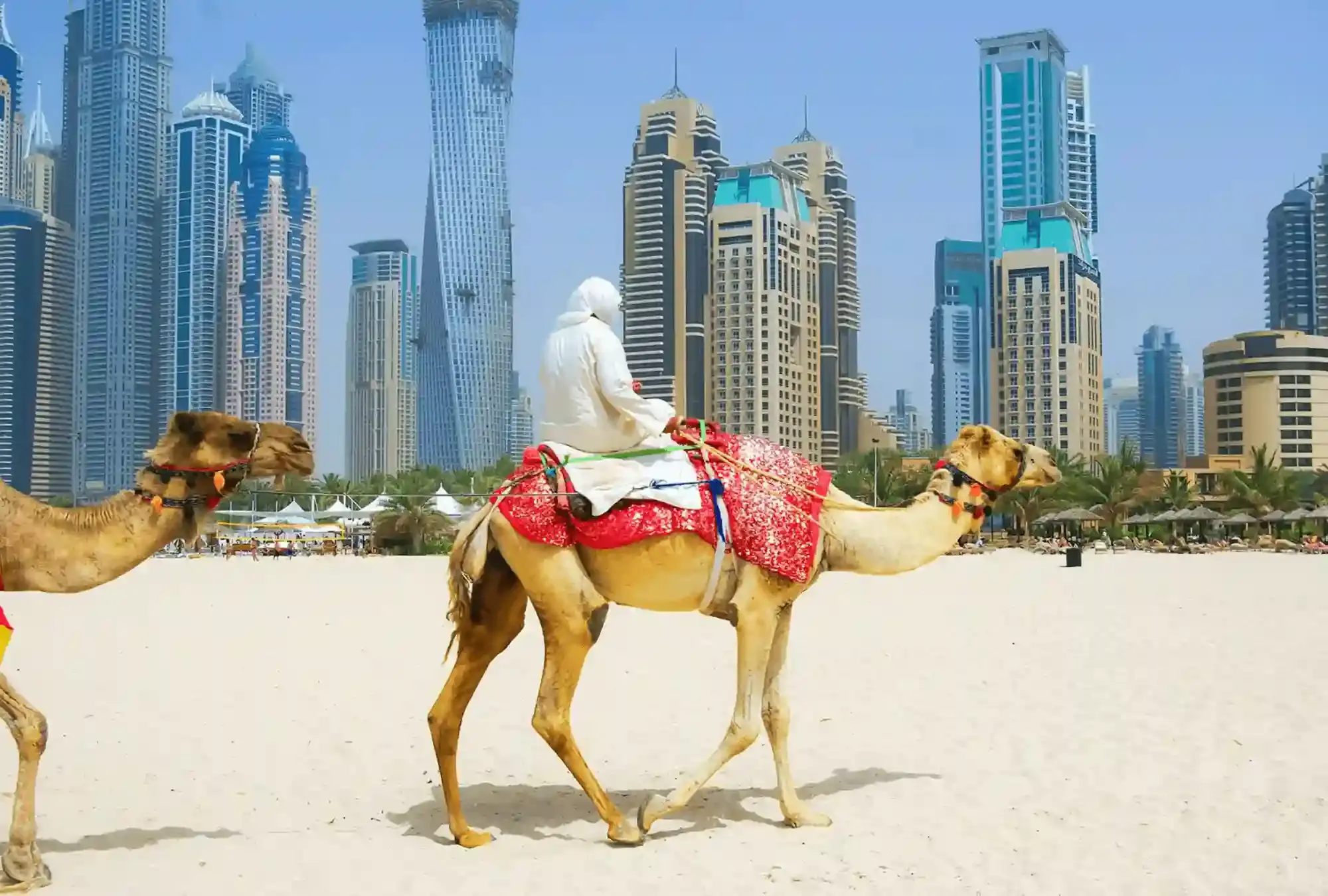 camel-adventure-on-jbr-beach-1693641310