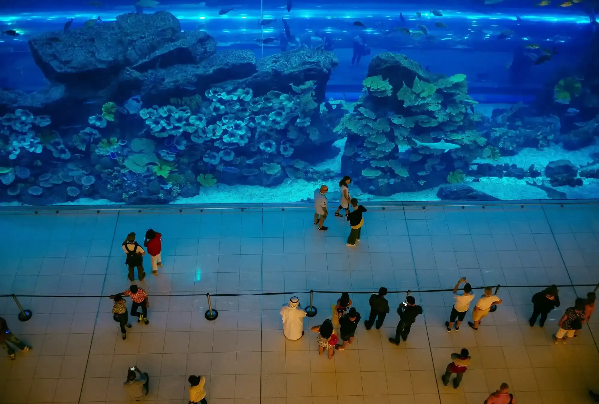 dubai-aquarium---ideal-spot-for-free-visit-in-dubai-1701434717