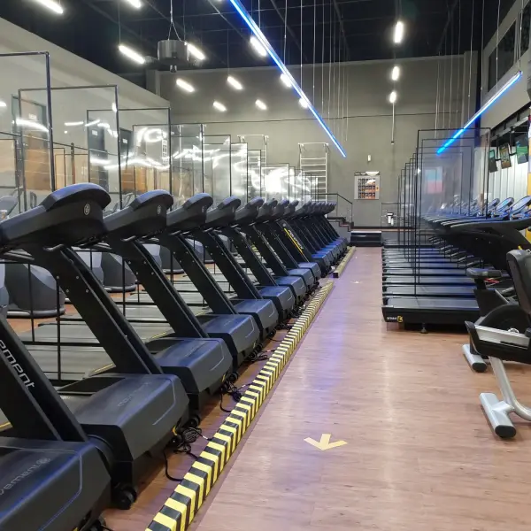 Top 10 Gyms In Dubai